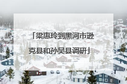 梁惠玲到黑河市逊克县和孙吴县调研