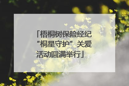 梧桐树保险经纪“桐星守护”关爱活动圆满举行