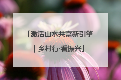 激活山水共富新引擎｜乡村行·看振兴