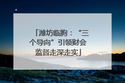 潍坊临朐：“三个导向”引领财会监督走深走实