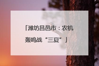 潍坊昌邑市：农机轰鸣战“三夏”