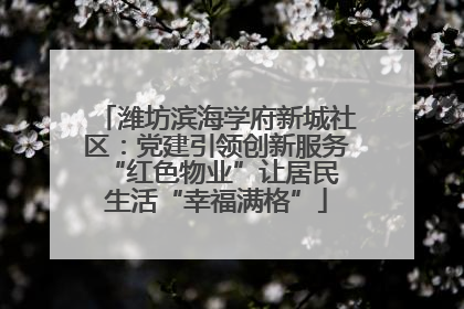 潍坊滨海学府新城社区：党建引领创新服务 “红色物业”让居民生活“幸福满格”