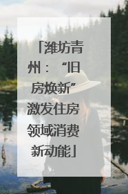 潍坊青州：“旧房焕新”激发住房领域消费新动能