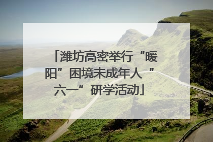 潍坊高密举行“暖阳”困境未成年人“六一”研学活动