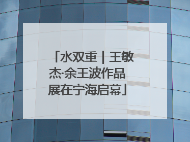 水双重｜王敏杰·余王波作品展在宁海启幕