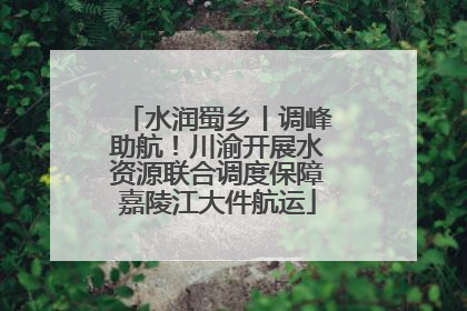 水润蜀乡丨调峰助航！川渝开展水资源联合调度保障嘉陵江大件航运