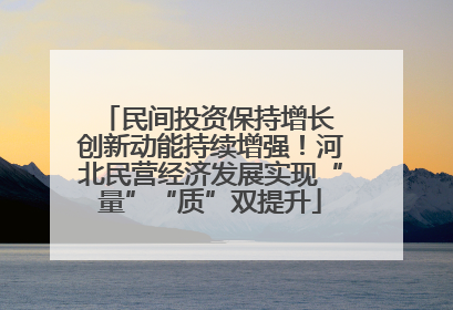 民间投资保持增长 创新动能持续增强！河北民营经济发展实现“量”“质”双提升