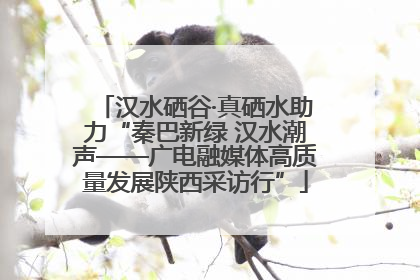 汉水硒谷·真硒水助力“秦巴新绿 汉水潮声——广电融媒体高质量发展陕西采访行”