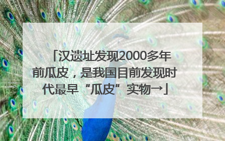 汉遗址发现2000多年前瓜皮，是我国目前发现时代最早“瓜皮”实物→