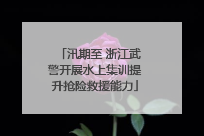 汛期至 浙江武警开展水上集训提升抢险救援能力