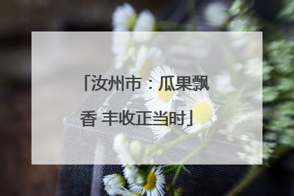 汝州市：瓜果飘香 丰收正当时