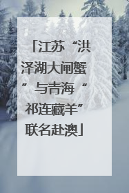 江苏“洪泽湖大闸蟹”与青海“祁连藏羊”联名赴澳