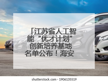 江苏省人工智能“优才计划” 创新培养基地名单公布！海安高级中学入选