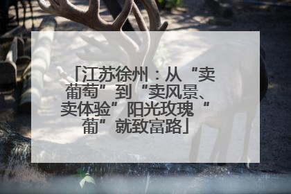 江苏徐州：从“卖葡萄”到“卖风景、卖体验”阳光玫瑰“葡”就致富路