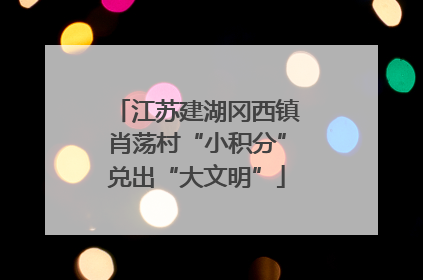 江苏建湖冈西镇肖荡村“小积分”兑出“大文明”