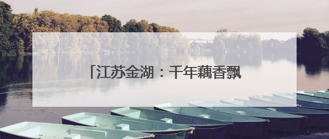 江苏金湖：千年藕香飘万里 荷韵悠悠引客来