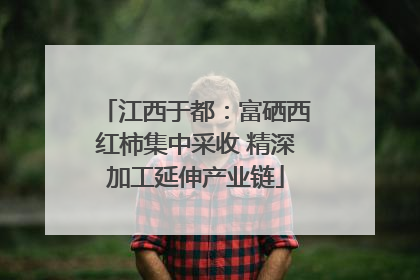 江西于都：富硒西红柿集中采收 精深加工延伸产业链