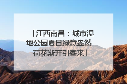 江西南昌：城市湿地公园夏日绿意盎然 荷花渐开引客来