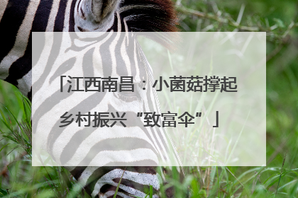 江西南昌：小菌菇撑起乡村振兴“致富伞”