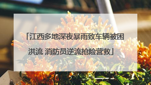 江西多地深夜暴雨致车辆被困洪流 消防员逆流抢险营救