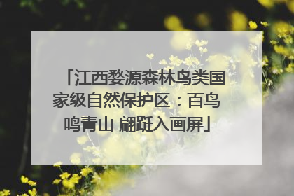 江西婺源森林鸟类国家级自然保护区：百鸟鸣青山 翩跹入画屏