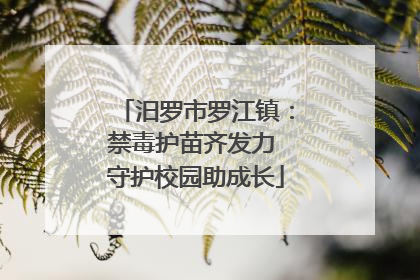 汨罗市罗江镇：禁毒护苗齐发力 守护校园助成长