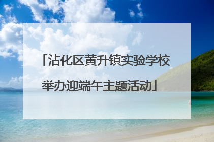 沾化区黄升镇实验学校举办迎端午主题活动