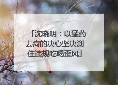 沈晓明：以猛药去疴的决心坚决刹住违规吃喝歪风