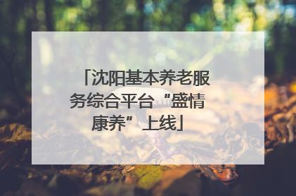 沈阳基本养老服务综合平台“盛情康养”上线
