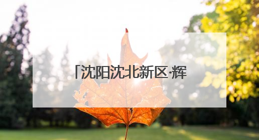 沈阳沈北新区·辉山领创“AI奇遇记”成功举办：沉浸科普点燃AI热情