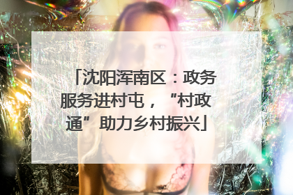 沈阳浑南区：政务服务进村屯，“村政通”助力乡村振兴
