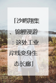 沙鸥翔集、锦鲤漫游：这处工业岸线变身生态长廊