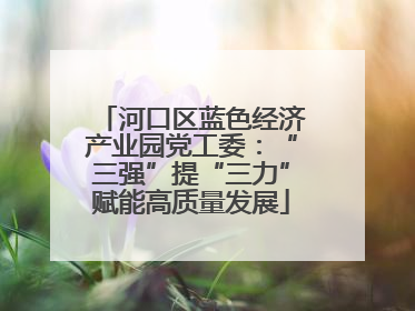 河口区蓝色经济产业园党工委：“三强”提“三力”赋能高质量发展