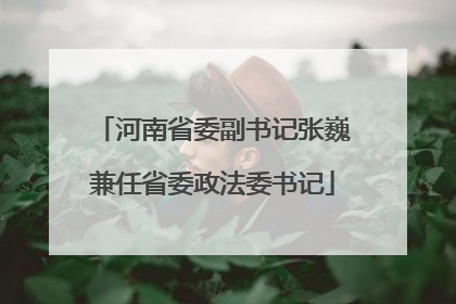 河南省委副书记张巍兼任省委政法委书记
