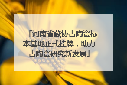 河南省藏协古陶瓷标本基地正式挂牌，助力古陶瓷研究新发展