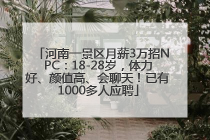 河南一景区月薪3万招NPC：18-28岁，体力好、颜值高、会聊天！已有1000多人应聘