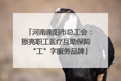 河南南阳市总工会：擦亮职工医疗互助保障“工”字服务品牌
