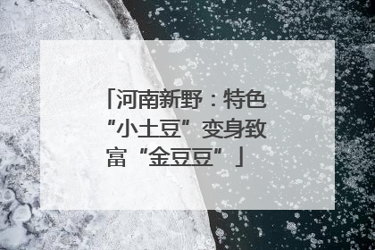 河南新野：特色“小土豆”变身致富“金豆豆”
