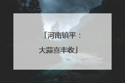 河南镇平：大蒜喜丰收
