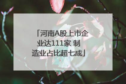 河南A股上市企业达111家 制造业占比超七成