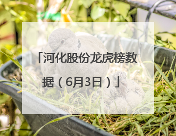 河化股份龙虎榜数据（6月3日）