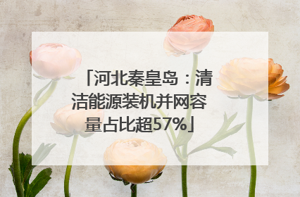 河北秦皇岛：清洁能源装机并网容量占比超57%