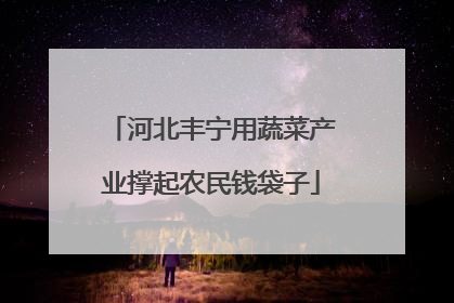 河北丰宁用蔬菜产业撑起农民钱袋子