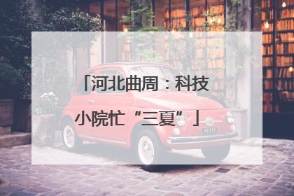 河北曲周：科技小院忙“三夏”