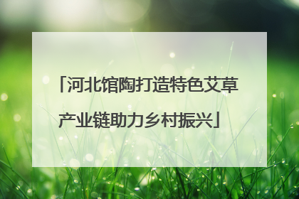 河北馆陶打造特色艾草产业链助力乡村振兴