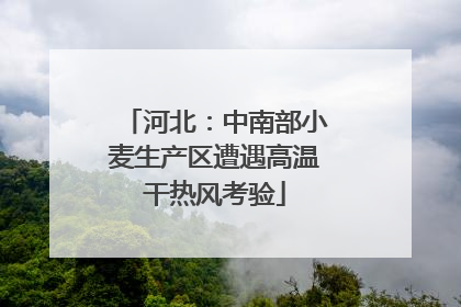 河北：中南部小麦生产区遭遇高温干热风考验