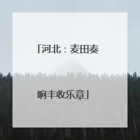 河北：麦田奏响丰收乐章