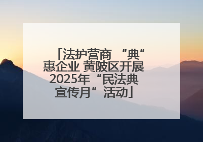 法护营商 “典”惠企业 黄陂区开展2025年“民法典宣传月”活动