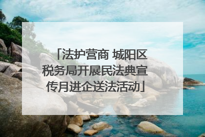 法护营商 城阳区税务局开展民法典宣传月进企送法活动