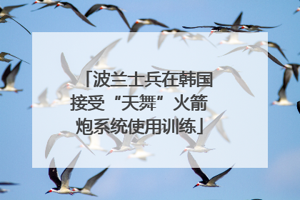波兰士兵在韩国接受“天舞”火箭炮系统使用训练